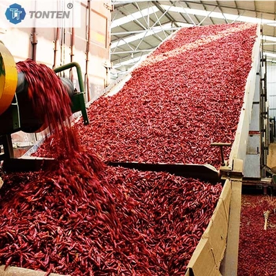 Machine de séchage de ceinture Piment Chili Chrysanthème Ceinture Sécheuse Déshydratation