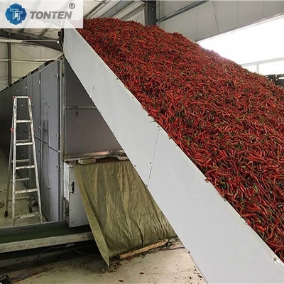Sécheuse de raisin de colza machine de séchage de carottes ceinture d'oignon sécheuse de racine d'herbe