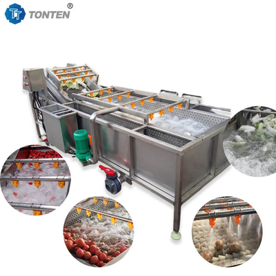 Machine à nettoyer les aliments à 440 V, machine à laver les légumes industriels pour les olives et les avocats