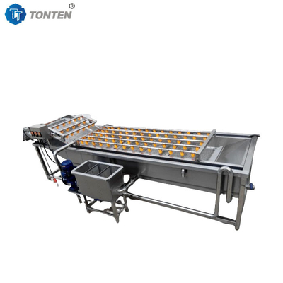 Machine de nettoyage automatique à bulles pour le lavage des fruits et légumes