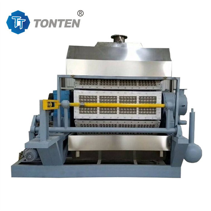 Projet d'usine de tri des déchets de papier MSW pour la fabrication de plateaux de pâte à œufs